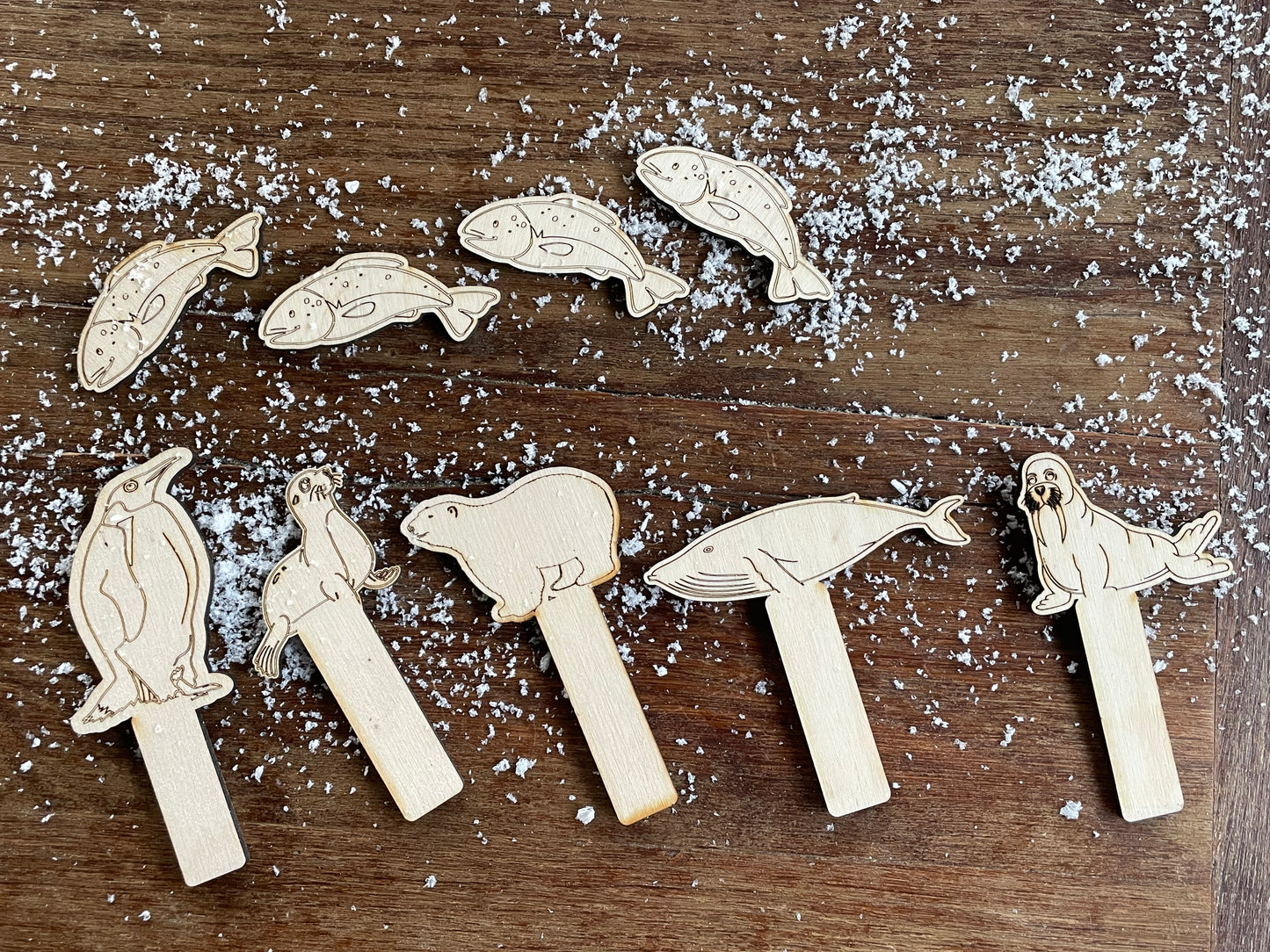 Plaque d’activité la banquise