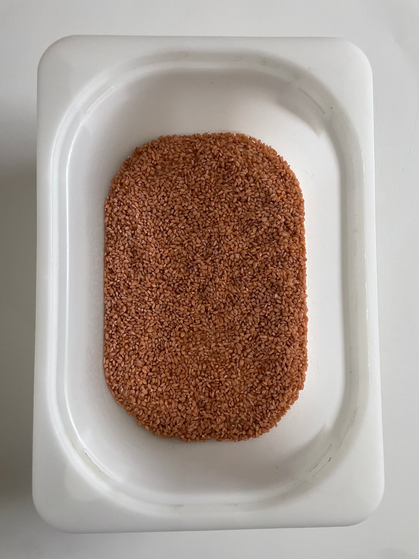Riz coloré marron