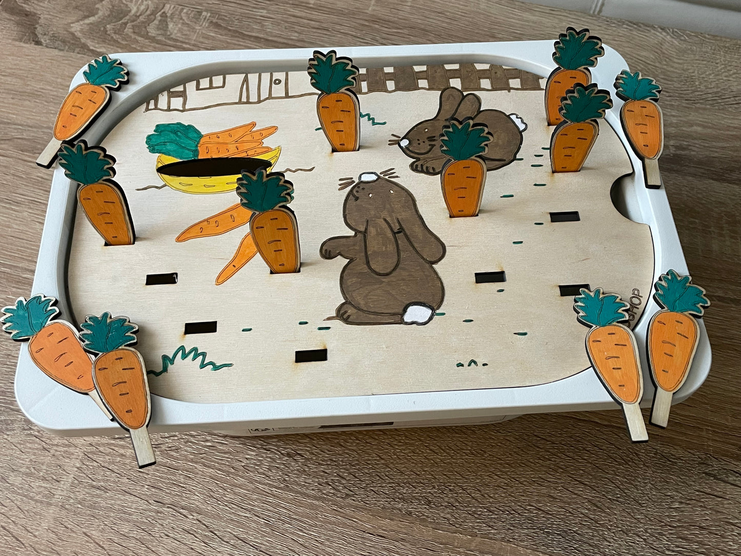 Insert récolte au jardin