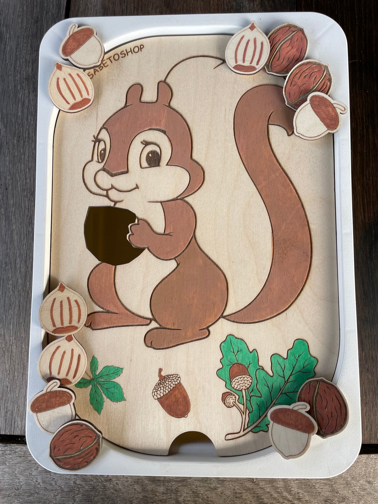 L’insert écureuil 🐿️