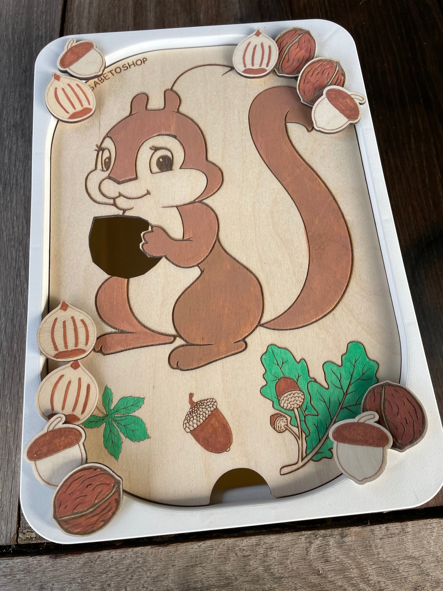 L’insert écureuil 🐿️