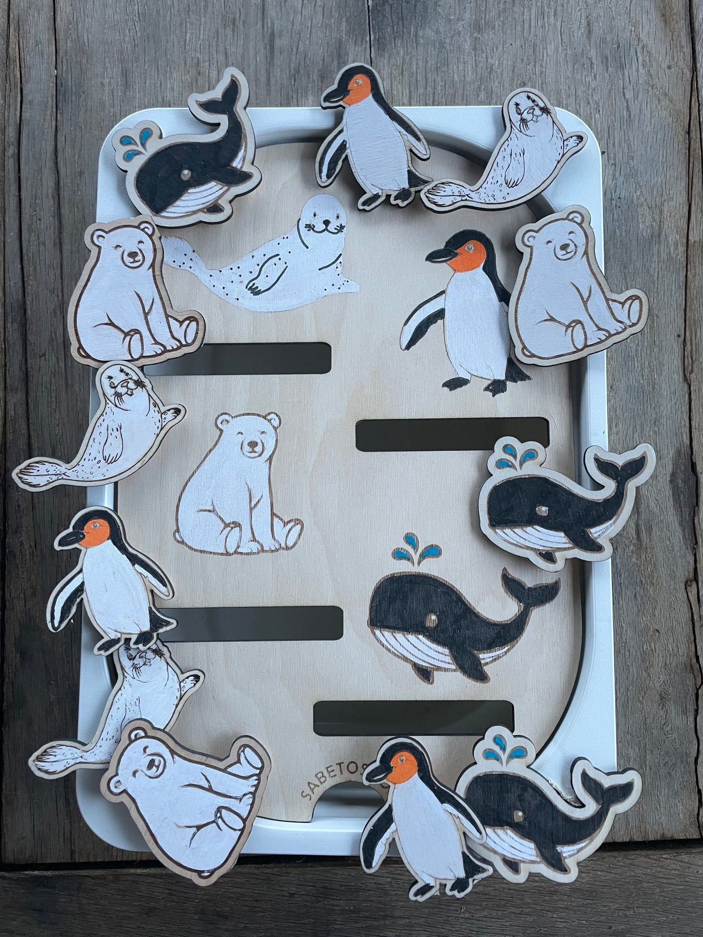 Insert les animaux polaires