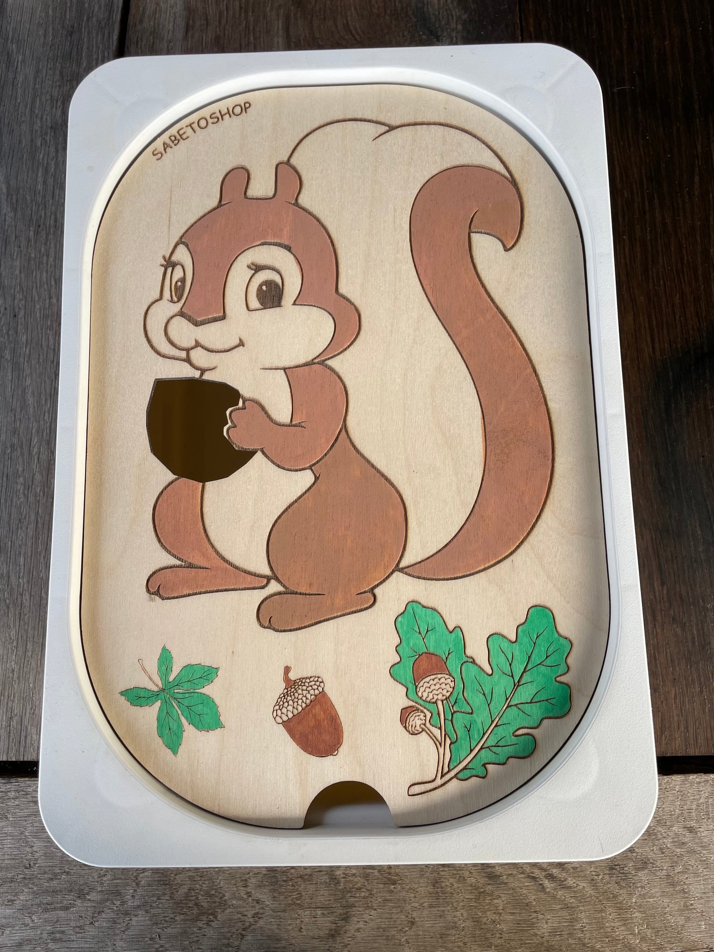 L’insert écureuil 🐿️