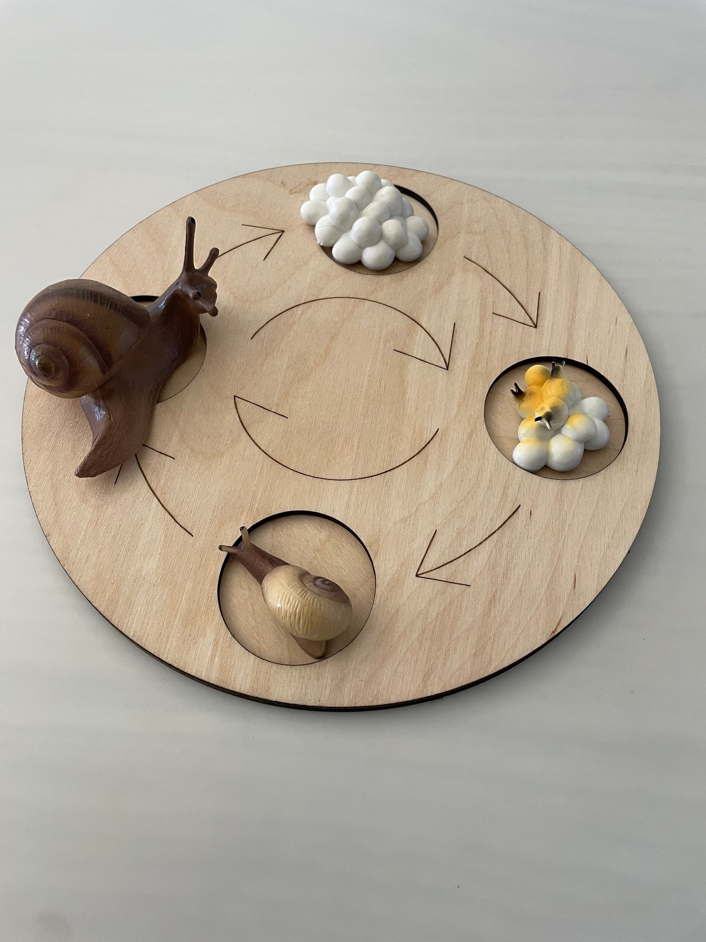 Plateau Montessori cycle de vie de l’escargot 🐌