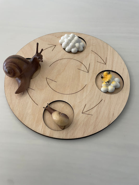 Plateau Montessori cycle de vie de l’escargot 🐌