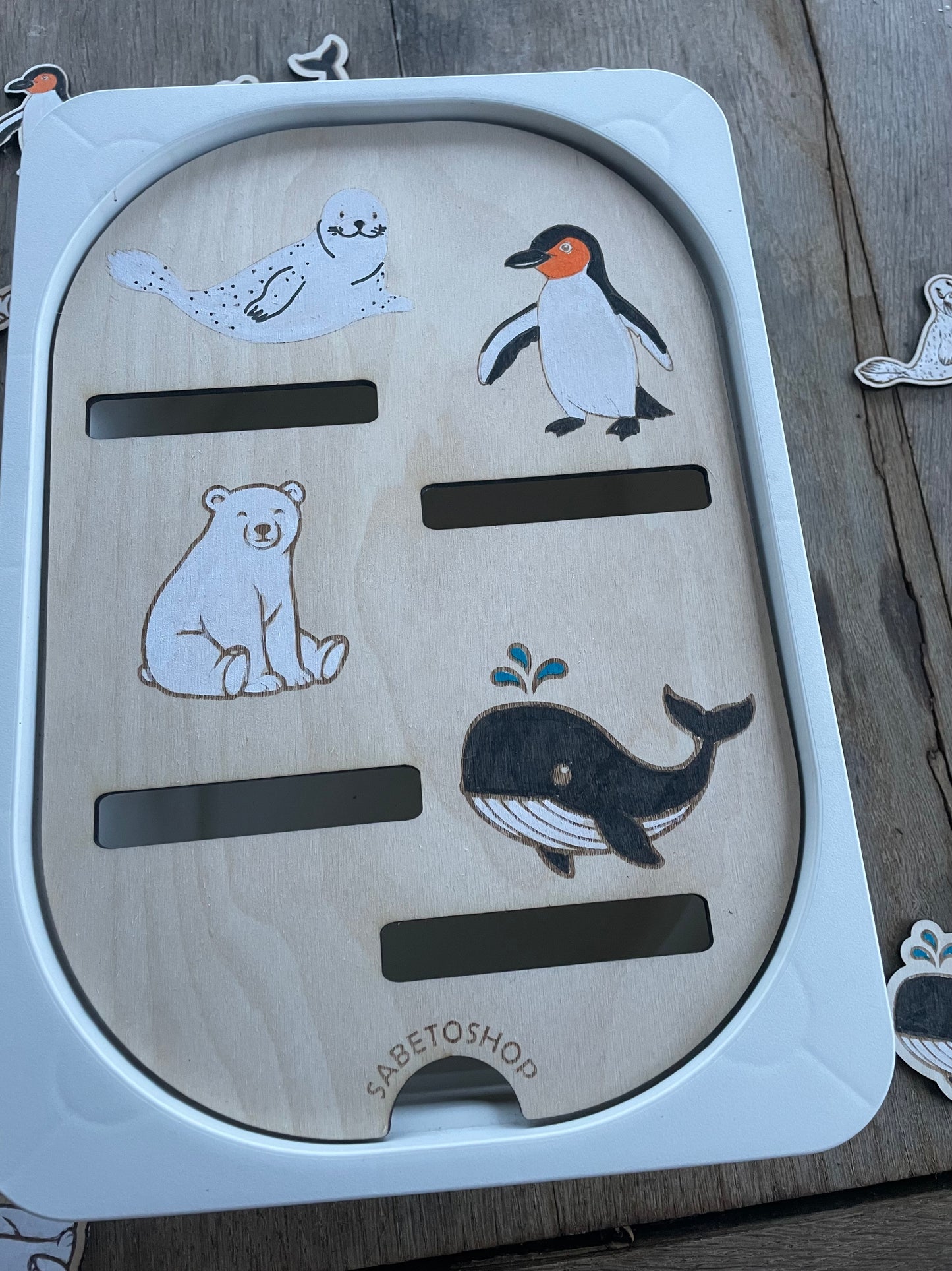 Insert les animaux polaires