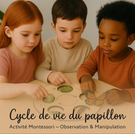 Plateau Montessori cycle de vie du papillon 🦋