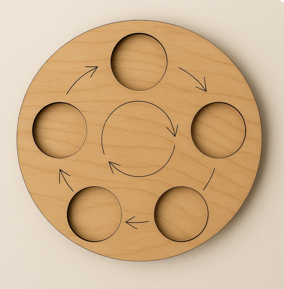 Plateau de cycle de vie Montessori 4 ou 5 emplacements