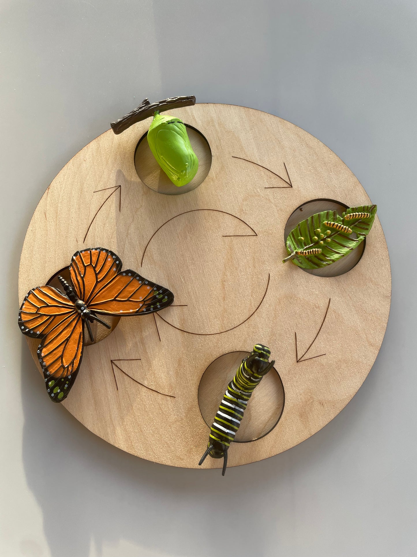 Plateau Montessori cycle de vie du papillon 🦋