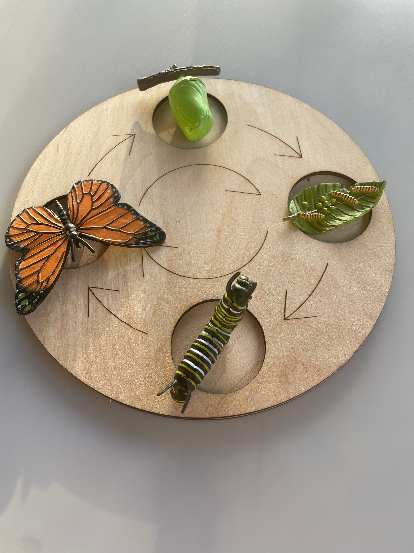 Plateau Montessori cycle de vie du papillon 🦋